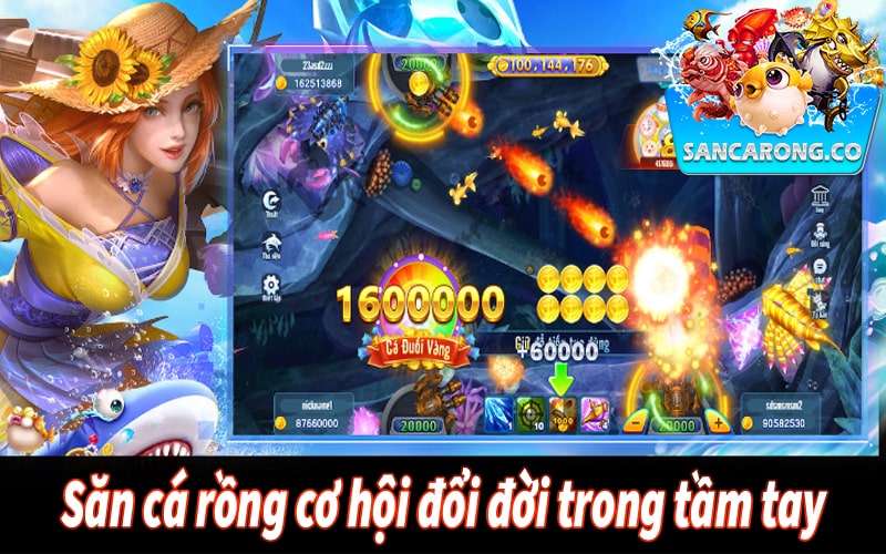 Săn cá rồng cơ hội đổi đời trong tầm tay